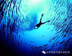 华为电脑原神潜水怎么开(华为电脑原神潜水攻略，探索未知世界的神秘之旅)