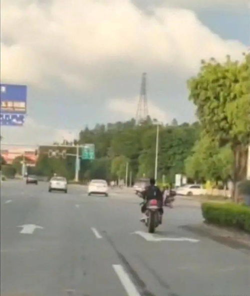 黎塘到陆川汽车站多少钱(黎塘到陆川汽车站的价格探究)