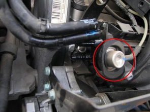 汽车下油管换一个多少钱(汽车下油管更换费用解析)