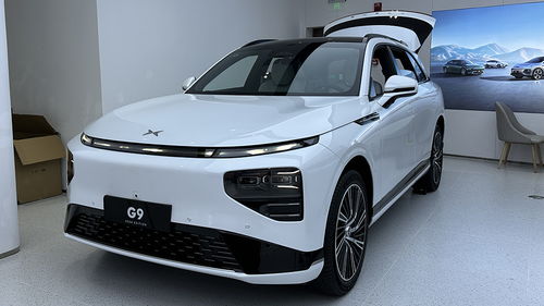 小鹏汽车专利多少钱一台(小鹏汽车专利价值解析,专利费用究竟多少? 小鹏汽车专利多少钱一台(小鹏汽车专利价值解析,专利费用究竟多少?