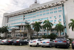 泉港到南埔汽车站多少钱(泉港到南埔汽车站的价格解析)