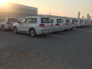 汽车八字轮多少钱面包车(汽车八字轮价格解析，面包车车型探讨)