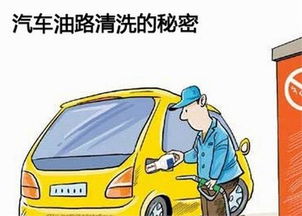 汽车一般多少天洗一次澡(汽车一般多少天洗一次澡，探讨汽车清洗频率与保养之道)