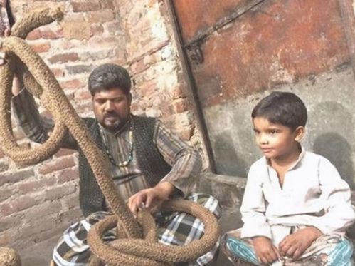 有中介贩卖外籍女性 一人20万(贩卖人口悲剧，揭开中介贩卖外籍女性背后的真相与反思)