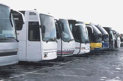 坐车去龙胜汽车站多少钱(坐车去龙胜汽车站的费用详解) 坐车去龙胜汽车站多少钱(坐车去龙胜汽车站的费用详解)