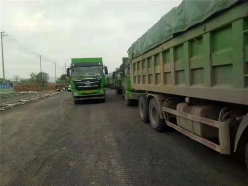 两辆汽车一周运输多少顿(两辆汽车一周运输多少吨货物，探究运输能力与效率)