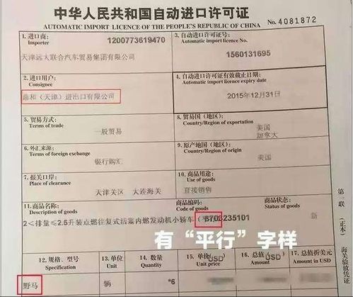 龙桥汽车检测多少钱一次(龙桥汽车检测费用详解，价格、服务及更多)