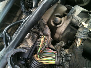 泰州汽车一条线束多少钱(泰州汽车一条线束的价格解析)