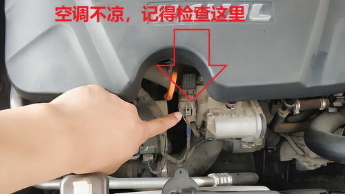 汽车空调换水龙头多少钱(汽车空调换水龙头的费用解析)
