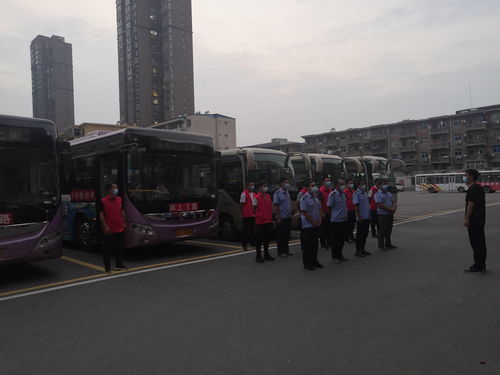 百灵庙汽车站有多少路车(百灵庙汽车站的车路交通网络，深度解析车站的车辆线路布局)