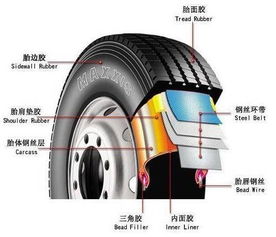 油气两用汽车轮胎多少钱(油气两用汽车轮胎价格解析)