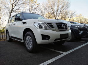 尼桑汽车加炮多少钱一个(尼桑汽车加炮，价格及更多信息详解)