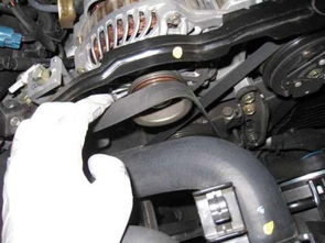 汽车皮带换一次的多少钱(汽车皮带更换费用解析，价格究竟多少？