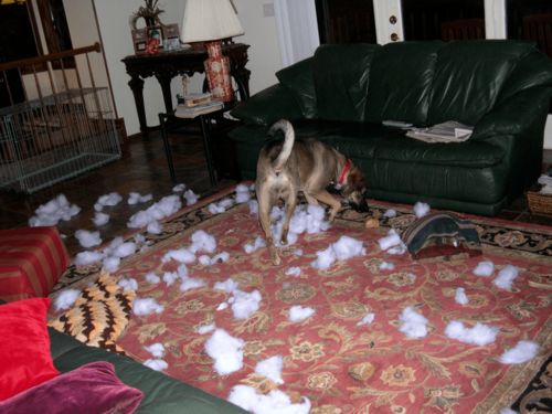 汽车美陈一般多少钱一平(汽车美陈费用解析，每平米价格究竟是多少？