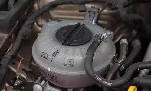 汽车第一次装灯泡多少钱(汽车首次装灯泡的费用解析)