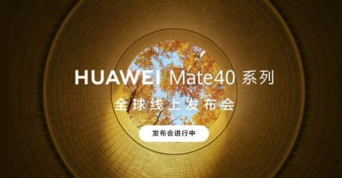 电脑自燃视频华为怎么看(电脑自燃视频与华为的视角，深度探讨与解析)