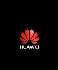 华为电脑怎么不保留花瓣logo(华为电脑不再保留花瓣Logo,品牌重塑与市场策略调整) 华为电脑怎么不保留花瓣logo(华为电脑不再保留花瓣Logo,品牌重塑与市场策略调整)