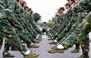 被两百万网友严选的新生军训服(新生军训服，两百万网友严选，塑造青春风采)