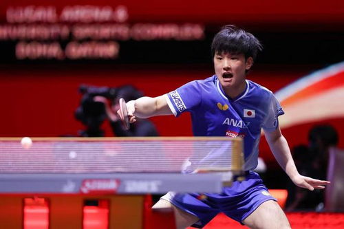 多哈世乒赛最抽象的事发生了(多哈世乒赛最抽象的事发生了) 多哈世乒赛最抽象的事发生了(多哈世乒赛最抽象的事发生了)