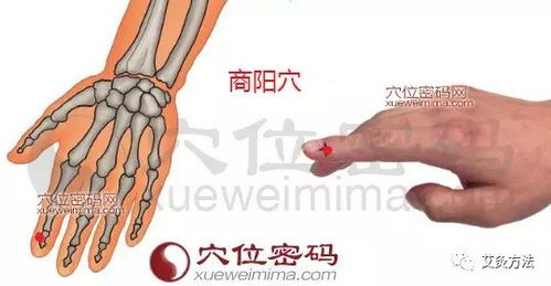 多位“捏捏”玩家出现喉咙痛烂手指(多位捏捏玩家遭遇喉咙痛与手指烂伤,游戏与健康之间的微妙平衡) 多位“捏捏”玩家出现喉咙痛烂手指(多位捏捏玩家遭遇喉咙痛与手指烂伤,游戏与健康之间的微妙平衡)