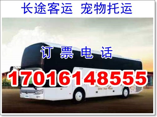 到四川雅安汽车票多少钱(四川雅安之行,探寻车票背后的故事) 到四川雅安汽车票多少钱(四川雅安之行,探寻车票背后的故事)
