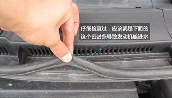 汽车补肽两个孔要多少钱(汽车补胎两个孔的费用解析) 汽车补肽两个孔要多少钱(汽车补胎两个孔的费用解析)