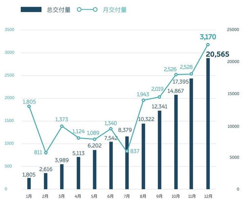 汽车保险一年用多少次交(汽车保险一年用多少次交，深度解析与实际应用建议)
