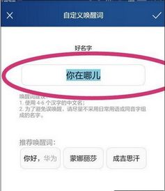 u盘电脑专用华为怎么用(华为专用U盘在电脑中的使用方法详解)