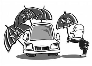 汽车第一年买全险多少钱(汽车第一年买全险需要多少钱？