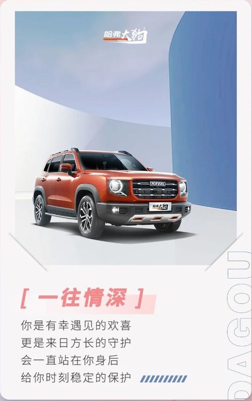 润锦长城汽车多少钱一瓶(润锦长城汽车价格概览，深入了解汽车价格与品牌价值)