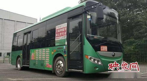 盘锦公共汽车站电话多少(盘锦公共汽车站电话大全及出行指南) 盘锦公共汽车站电话多少(盘锦公共汽车站电话大全及出行指南)