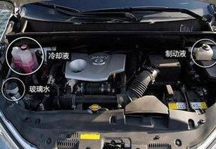 威驰汽车换防冻液多少钱(威驰汽车换防冻液的费用解析)