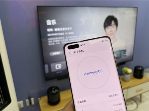 华为电脑爱奇艺怎么用(华为电脑与爱奇艺，无缝结合的视听体验)