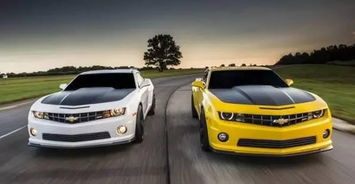 唐山大黄蜂汽车多少钱(唐山大黄蜂汽车价格解析)