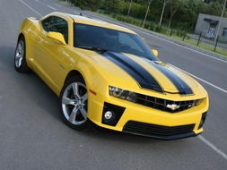 唐山大黄蜂汽车多少钱(唐山大黄蜂汽车价格解析)