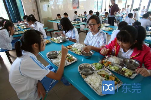 校长亲自干食堂 感慨:比外包难太多(校长亲自干食堂,深度体验背后的感慨与挑战) 校长亲自干食堂 感慨:比外包难太多(校长亲自干食堂,深度体验背后的感慨与挑战)