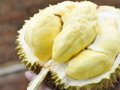 榴莲又便宜了(榴莲又便宜了，水果市场的喜悦与消费者的福音)