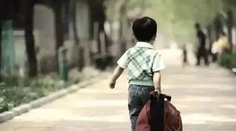 不是母子 不是考公 不是舍不得打车(超越亲情的纽带,一段特殊的情感故事) 不是母子 不是考公 不是舍不得打车(超越亲情的纽带,一段特殊的情感故事)