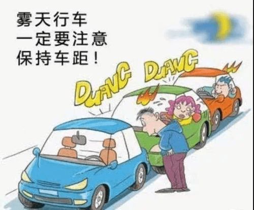 不是母子 不是考公 不是舍不得打车(超越亲情的纽带,一段特殊的情感故事) 不是母子 不是考公 不是舍不得打车(超越亲情的纽带,一段特殊的情感故事)