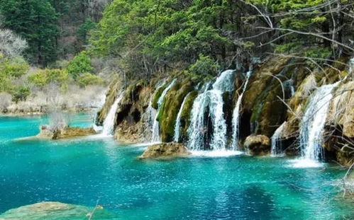 南昌到九寨沟汽车多少钱(南昌到九寨沟汽车费用详解)