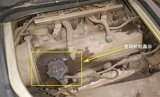 换汽车前盖多少钱一个(换汽车前盖需要多少钱？一篇文章解析费用因素)