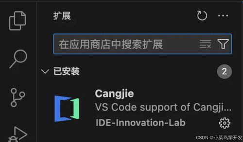 华为电脑怎么做编程语言(华为电脑上的编程语言开发环境搭建与实施)