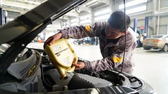 汽车要补刹车油吗多少钱(汽车刹车油的重要性及其补充费用探讨)