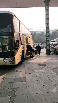 长途汽车一次坐多少人(长途汽车一次坐多少人，探究座位配置与运输效率)