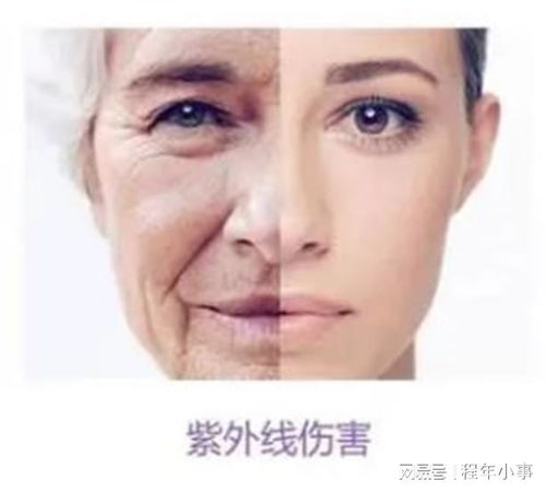 汽车防晒霜一般涂多少量(汽车防晒霜一般涂多少量，详解汽车防晒保护的重要性及适量涂抹技巧)