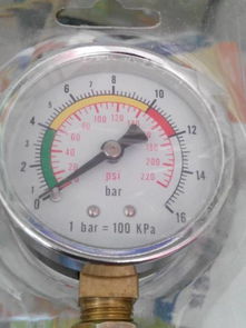 汽车胎压表多少钱一个(汽车胎压表价格解析，多少钱一个？