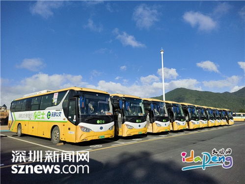大鹏汽车站到香港多少钱(大鹏汽车站到香港的交通费用详解)