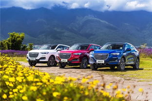 泰安到十堰的汽车多少钱(泰安到十堰的汽车价格及旅行指南)