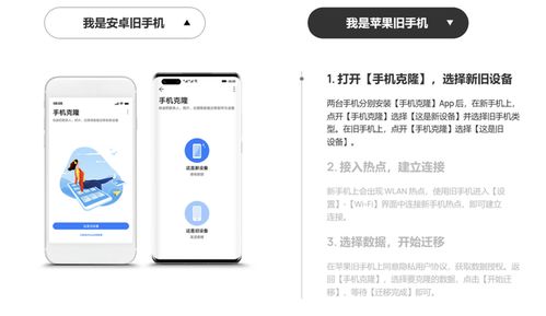 华为手机怎么把app转到电脑(华为手机如何将APP转移到电脑，详细步骤与实用技巧)