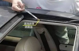 汽车门板透明胶条多少钱(汽车门板透明胶条价格解析) 汽车门板透明胶条多少钱(汽车门板透明胶条价格解析)